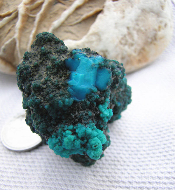 首页| 217永信贵宾会官网入口