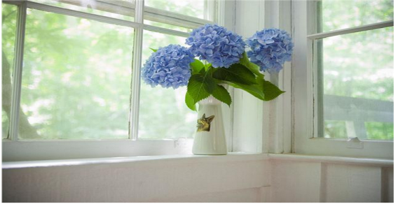 首页| 217永信贵宾会官网入口