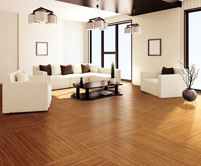 最美，不外当阳光赶上丛林