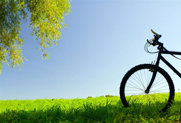 即就是东风十里，依然不如你