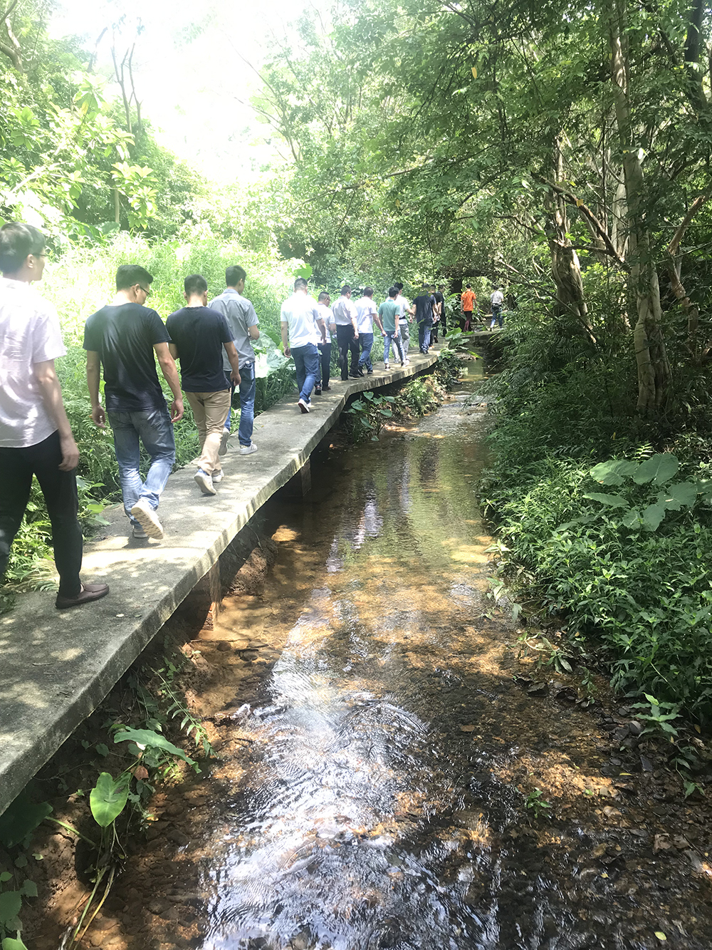 首页| 217永信贵宾会官网入口