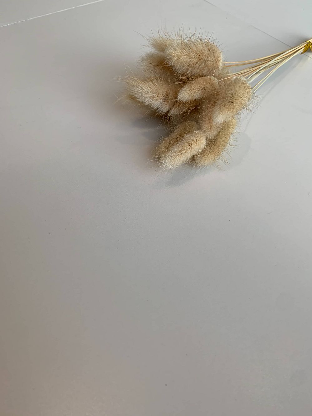 首页| 217永信贵宾会官网入口