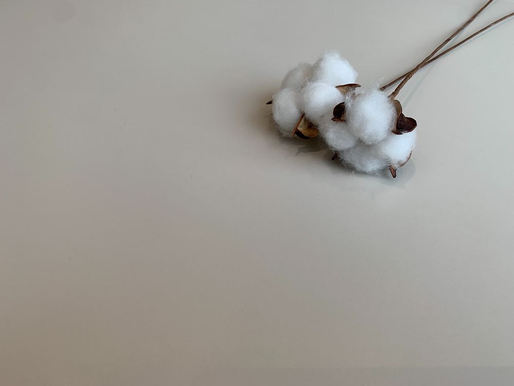 首页| 217永信贵宾会官网入口