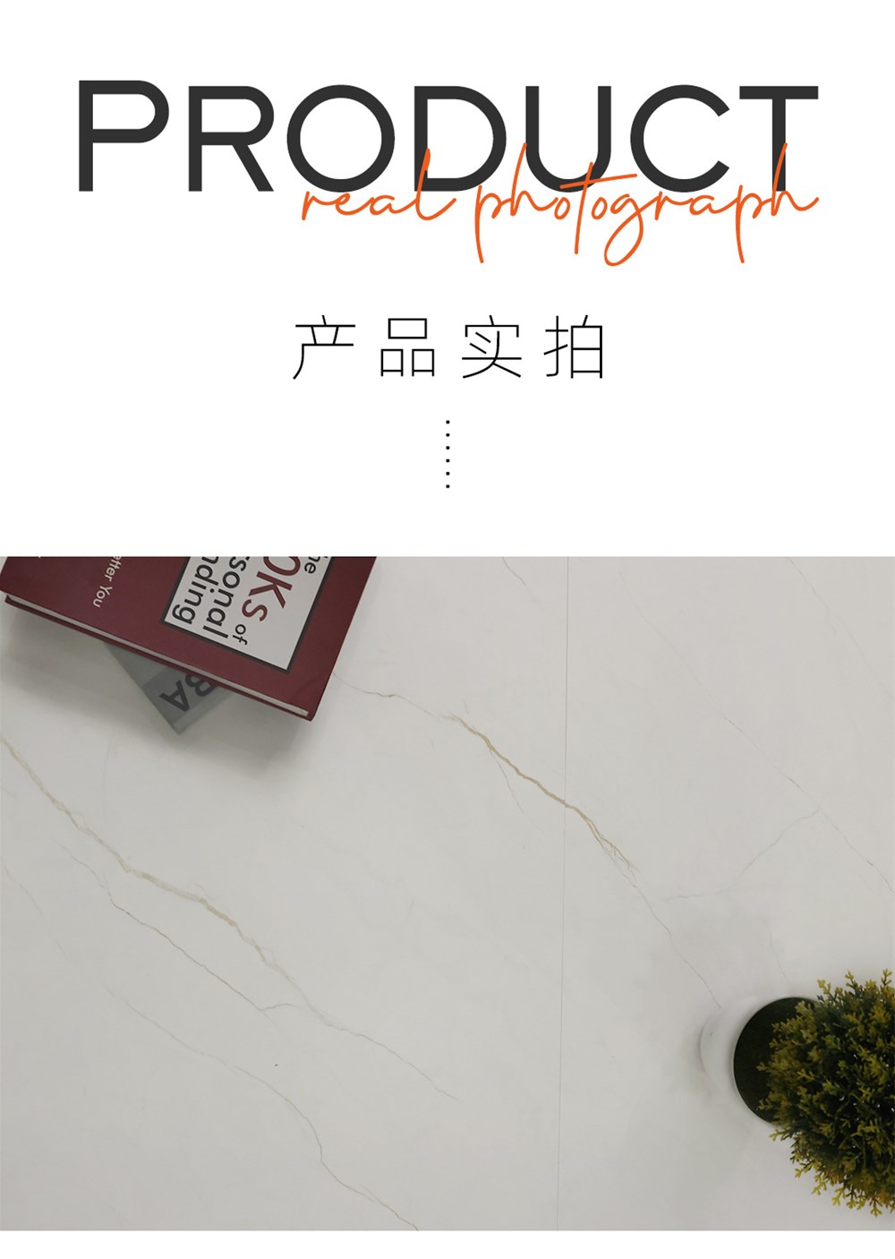 首页| 217永信贵宾会官网入口