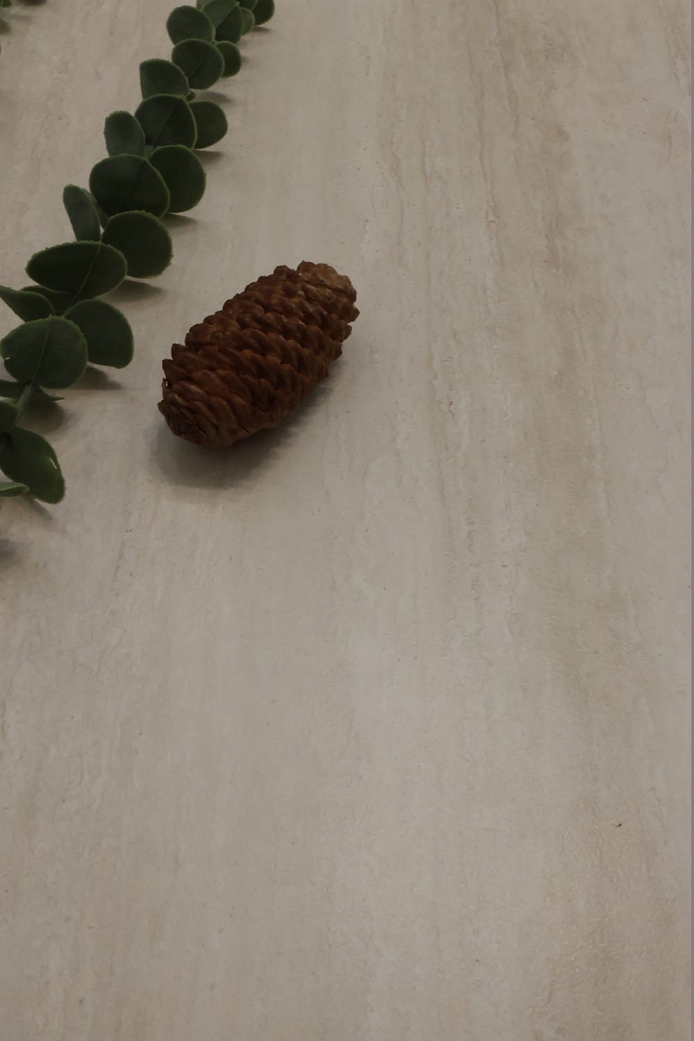 首页| 217永信贵宾会官网入口