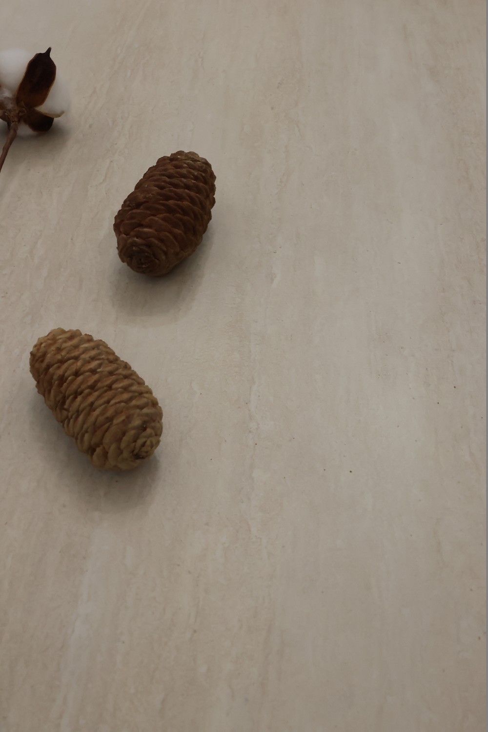 首页| 217永信贵宾会官网入口