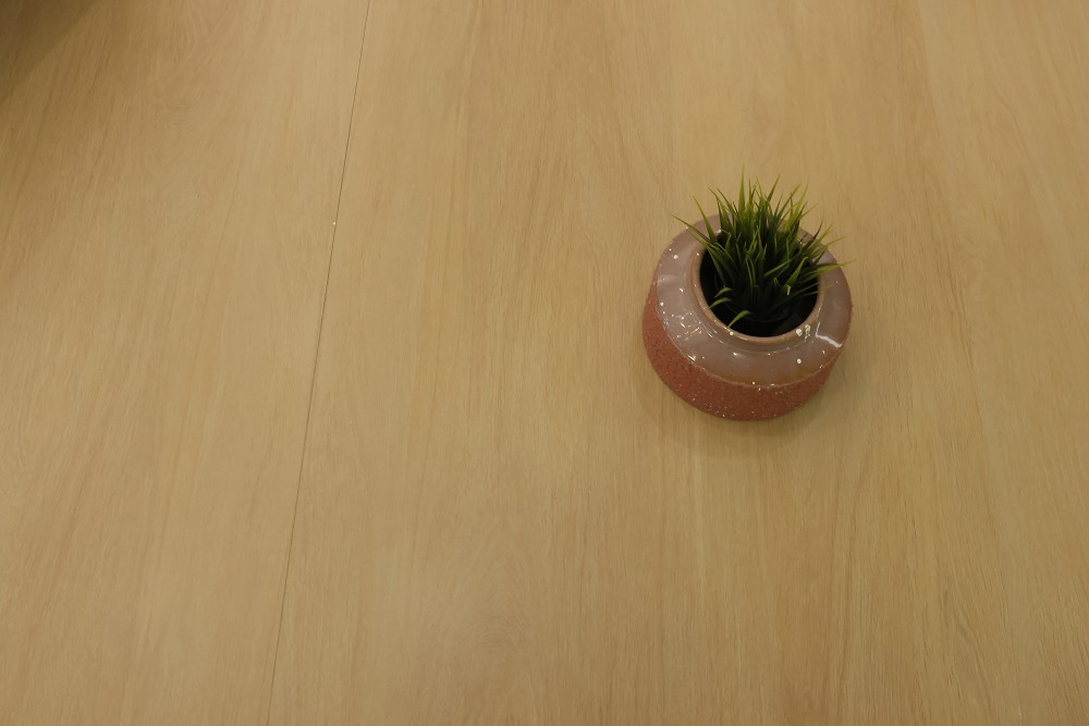 首页| 217永信贵宾会官网入口